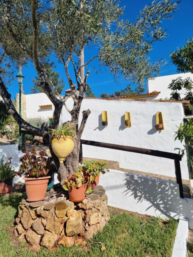 SalirCasa Da Mae别墅 外观 照片